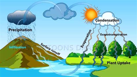 animation of water cycle